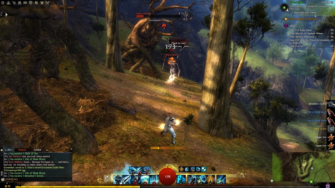 guild wars 2 gw2 harpy video game dragonhunter guardian combat longbow